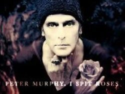 PETER MURPHY – THE PRINCE & OLD LADY SHADE (MIDI Profesional)
