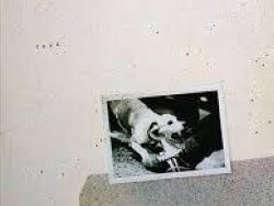Fleetwood Mac – Tusk 1979 Disco Purrfection Version (MIDI Profesional)