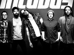INCUBUS – TRUST FALL (MIDI Profesional)