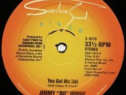 Jimmy Bo Horne – You Get Me Hot (MIDI Profesional)