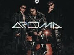 Brytiago ft. Lenny Tavárez & Beéle – Aroma (MIDI Profesional)