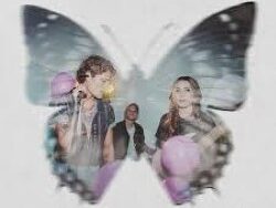 WE TREE – SARA (MIDI Profesional)