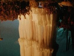 London Grammar – Lose Your Head (MIDI Profesional)