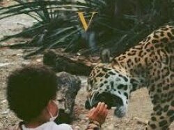 Unknown Mortal Orchestra – Layla (MIDI Profesional)