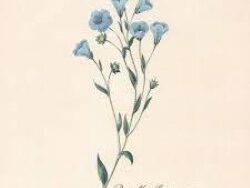 Snoh Aalegra – Be My Summer (MIDI Profesional)