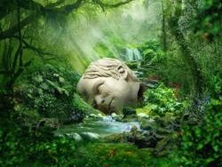 Weezer – Wild At Heart (MIDI Profesional)