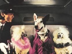 Rick Springfield – I get excited (MIDI Profesional)