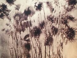 The Psychedelic Furs – HOUSE (MIDI Profesional)