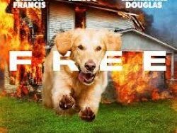 Dillon Francis ft. Alesso & Clementine Douglas – Free (MIDI Profesional)