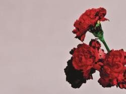 John Legend ft. Nas & Florian Picasso – Tomorrow (MIDI Profesional)