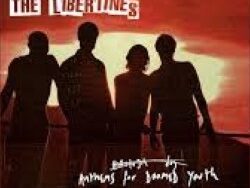 The Libertines – Fame & Fortune (MIDI Profesional)