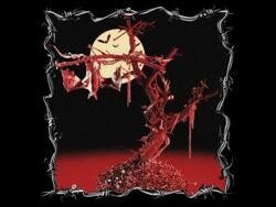 BabyDrill – Dracula (MIDI Profesional)