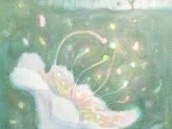 CHEN – Bloom (MIDI Profesional)