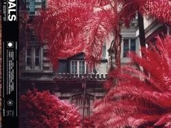 FOALS – IN DEGREES (MIDI Profesional)