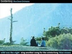 Goldenboy – Wild was the night (MIDI Profesional)