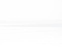 Foo Fighters – The Teacher (MIDI Profesional)