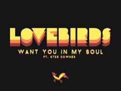 LOVEBIRDS – STWANT YOU IN MY SOUL (MIDI Profesional)