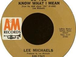 Lee Michaels – Do You Know What I Mean (MIDI Profesional)
