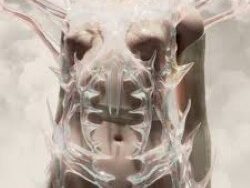 Polyphia – Nerotica (MIDI Profesional)