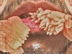 TORO Y MOI – STILL SOUND (MIDI Profesional)