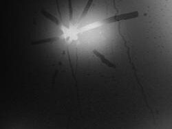 Touché Amoré – Hal Ashby (MIDI Profesional)