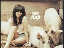 Linda Ronstadt – Long Long Time (MIDI Profesional)