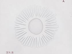 ODIE – Utopia (MIDI Profesional)