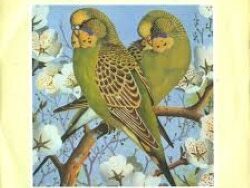 BLANCMANGE – DON’T TELL ME (MIDI Profesional)