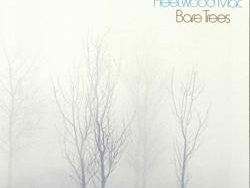 Fleetwood Mac – Spare Me a Little of Your Love (MIDI Profesional)