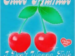 GLASS ANIMALS – I DON’T WANNA TALK (MIDI Profesional)