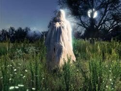 Noah Cyrus ft. Benjamin Gibbard – Every Beginning Ends (MIDI Profesional)