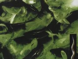 Shriekback – Nemesis (MIDI Profesional)