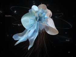 Suzy – Satellite (MIDI Profesional)