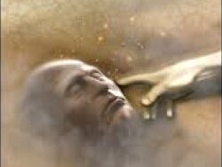 EDEN GARDEN – WISDOM LISTENS (MIDI Profesional)