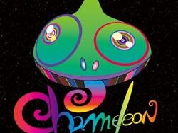 END OF THE WORLD – ROLLERSKATES (MIDI Profesional)