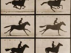 Laura Stevenson – Runner (MIDI Profesional)