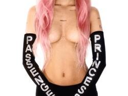 Nessa Barrett – PASSENGER PRINCESS (MIDI Profesional)