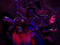 QUEEN BEE – REJUVENATION (MIDI Profesional)