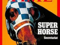 SECRETARIAT – THEME (MIDI Profesional)
