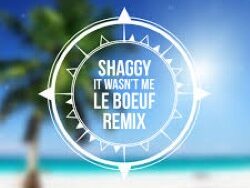Shaggy – It Wasnt Me (Le Boeuf Remix) (MIDI Profesional)