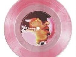 RAYE – GENESIS RADIO EDIT (MIDI Profesional)