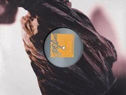 Pixies – Chicken (MIDI Profesional)