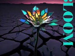 Cheat Codes ft. Train – Bloom (MIDI Profesional)