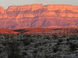 Willie Nelson – The Border (MIDI Profesional)