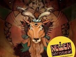 Newen Afrobeat ft. Seun Kuti – Cut Down (MIDI Profesional)