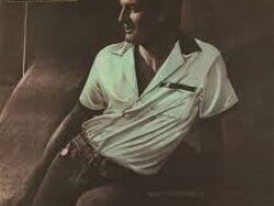 Peter Allen – Bi (MIDI Profesional)