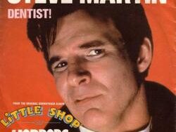Steve Martin – Dentist (MIDI Profesional)
