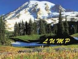 Lump – Presidents of the United States (MIDI Profesional)
