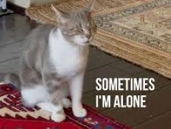 The Kiffness ft. Lonely Cat – Sometimes I’m Alone (MIDI Profesional)