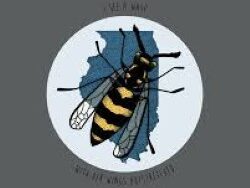 Predatory – wasp (MIDI Profesional)